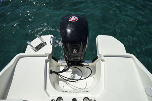 Bayliner Element CC7